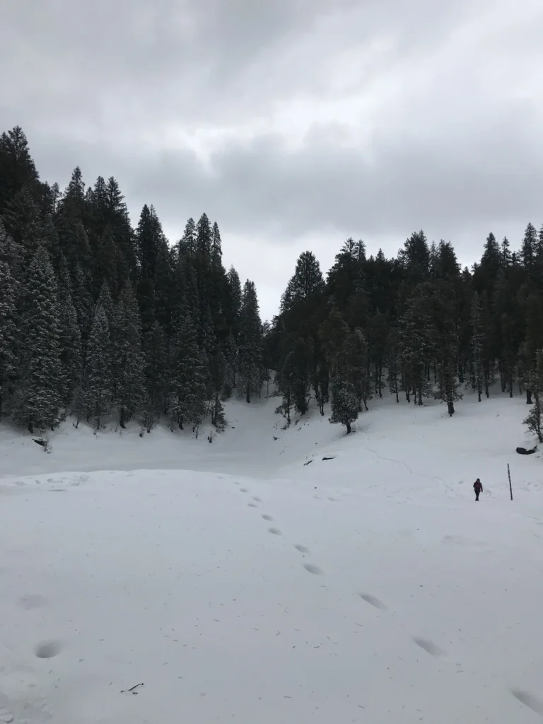 Kedarkantha Trek