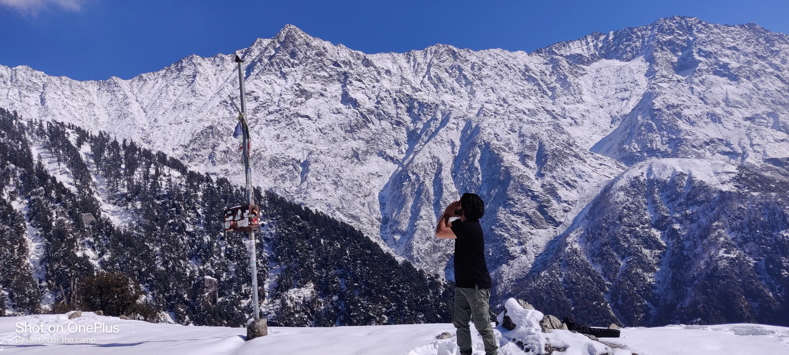 Best Treks in Himachal Pradesh - Triund Trek