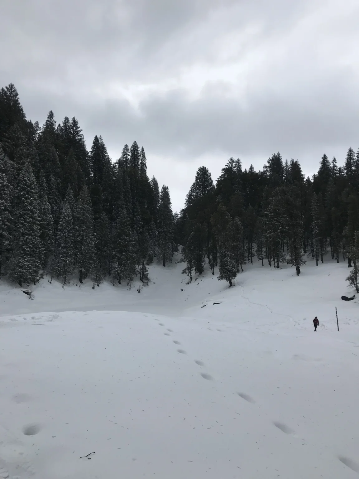 Kedarkantha Trek