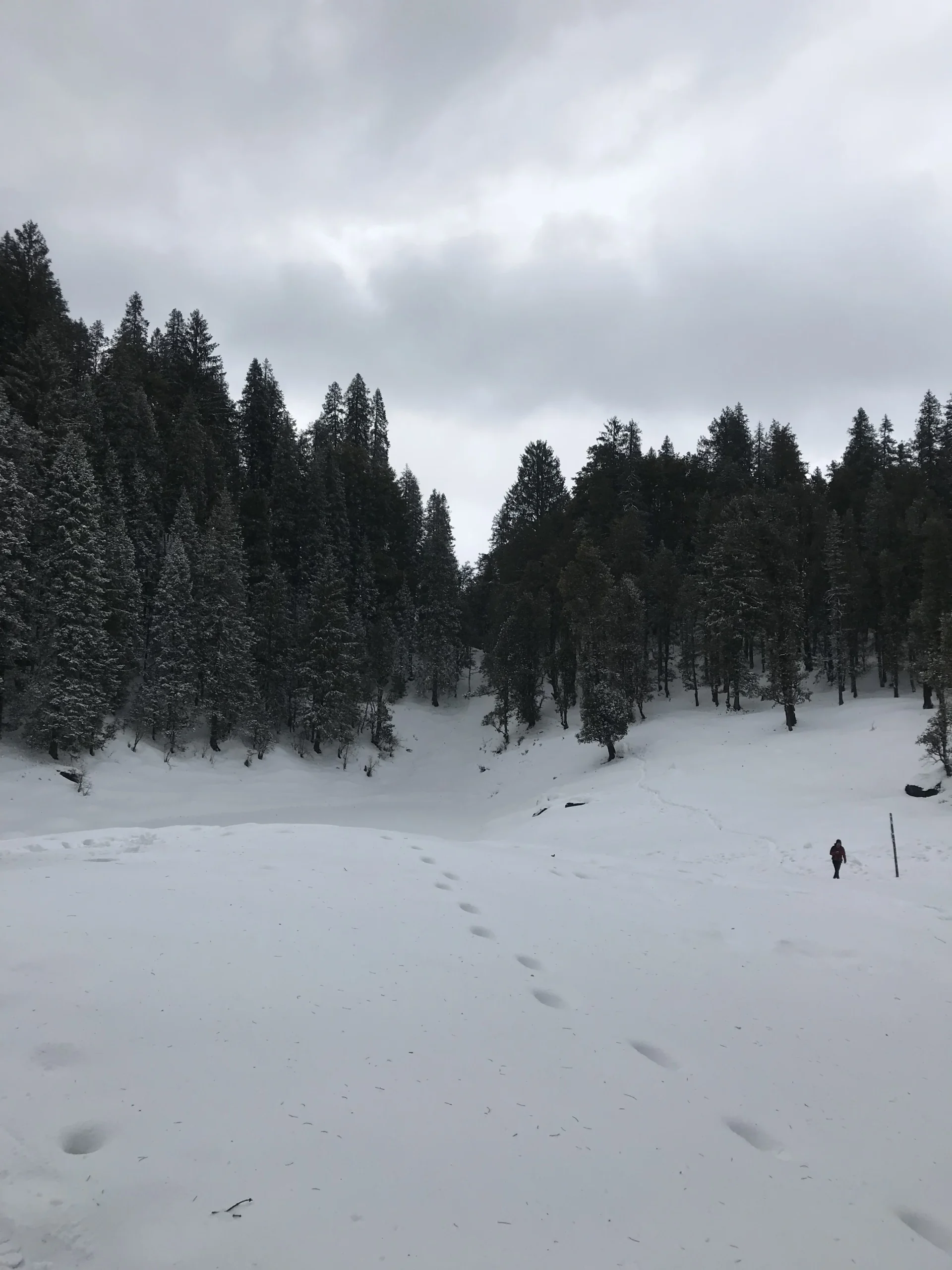Kedarkantha Trek: Complete Itinerary, Altitude, Cost & Trek Guide